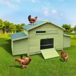 Wooden Chicken Coop
