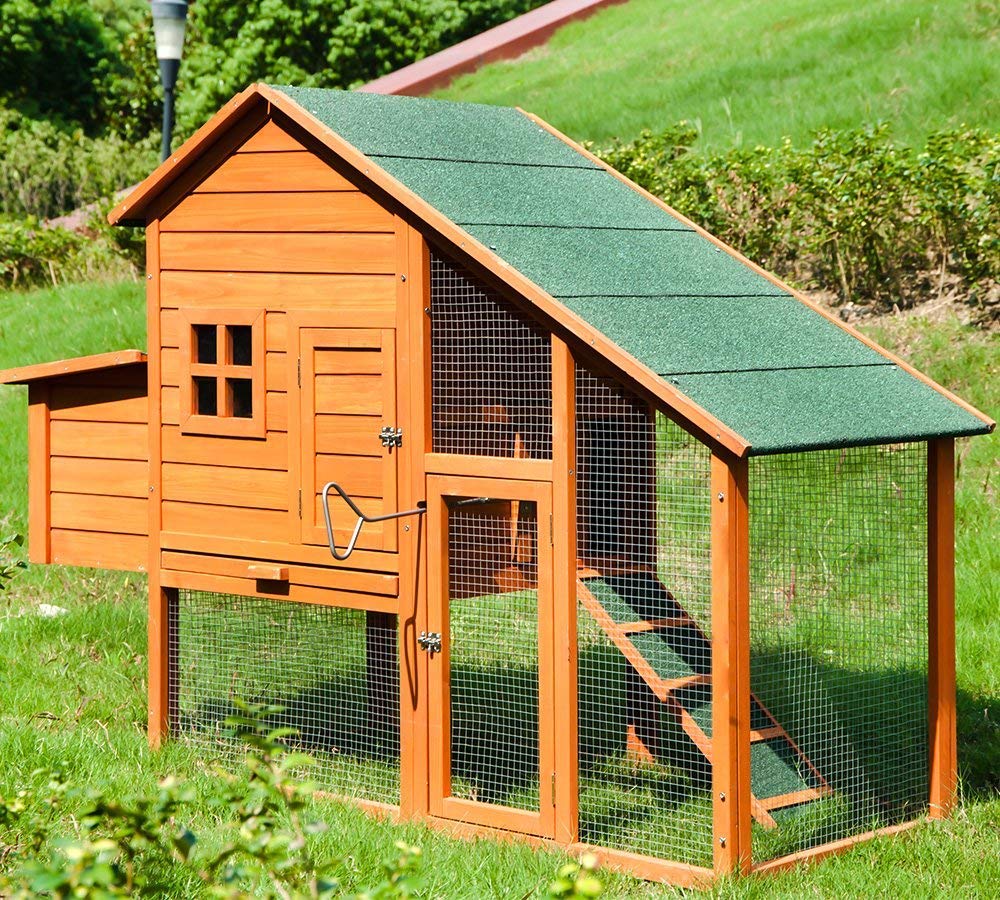 Wooden Chicken Coop for 2-3 chickens