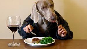 What items to prepare for dog ownership?